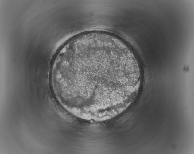 X0000110701316200907101211