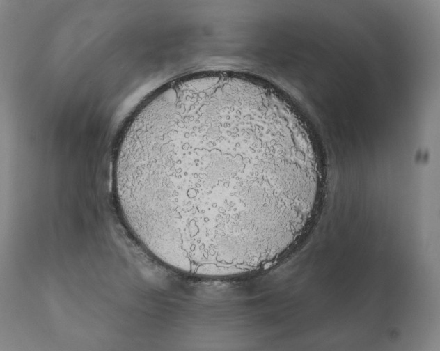 X0000110701317200907101211
