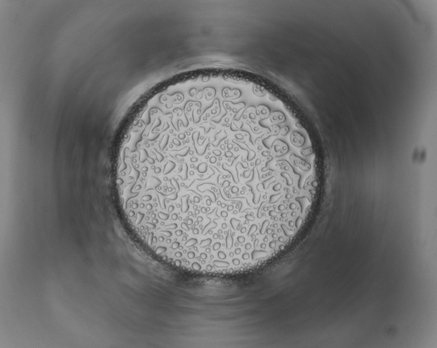 X0000110701318200907101211