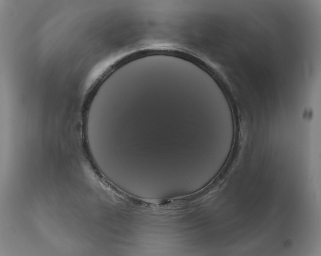 X0000110701319200907101211