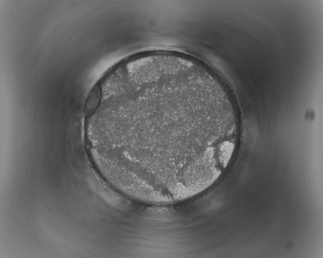 X0000110701320200907101211