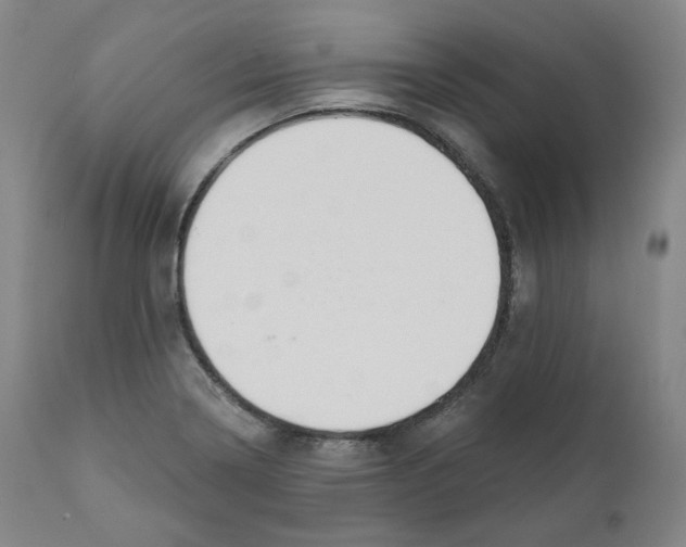 X0000110701322200907101211