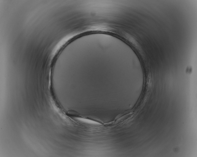X0000110701323200907101211