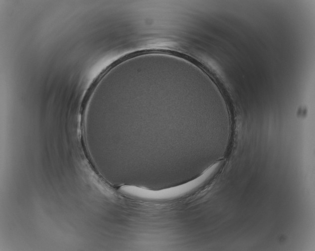 X0000110701324200907101211