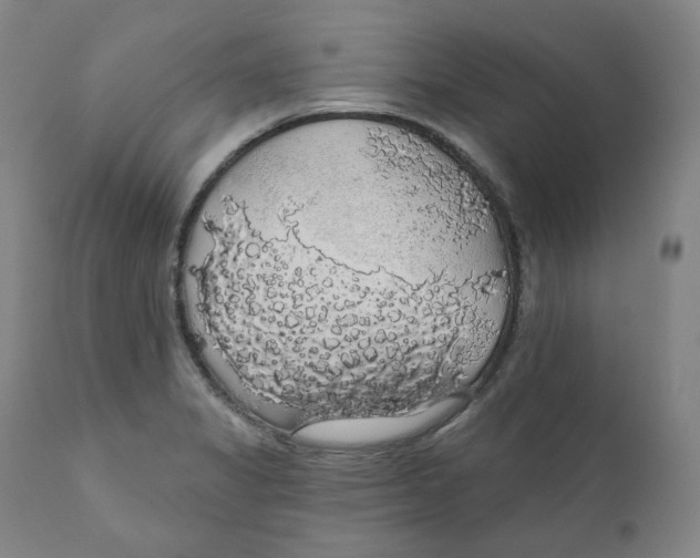 X0000110701325200907101211