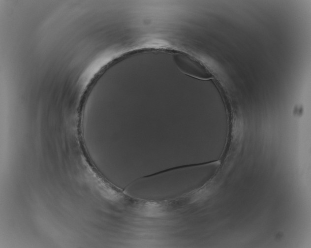 X0000110701326200907101211