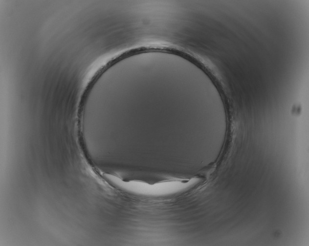 X0000110701327200907101211