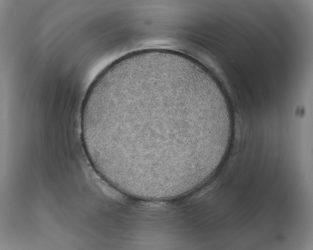 X0000110701328200907101211