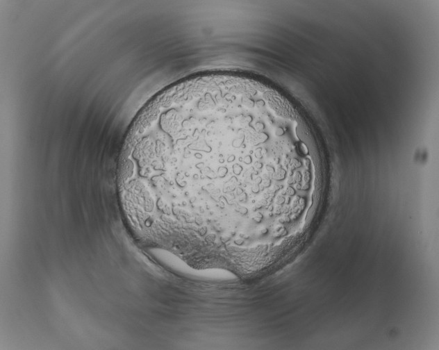 X0000110701329200907101211
