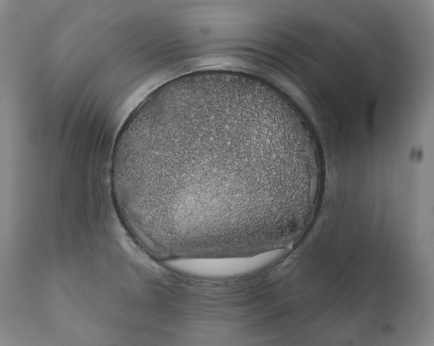 X0000110701330200907101211