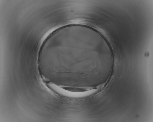 X0000110701331200907101211