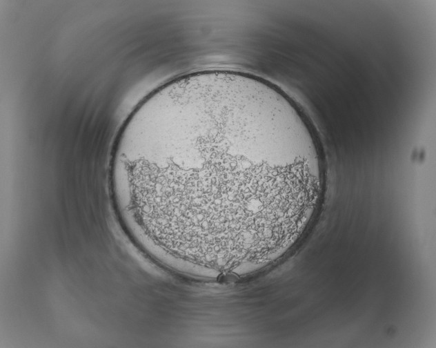X0000110701333200907101211