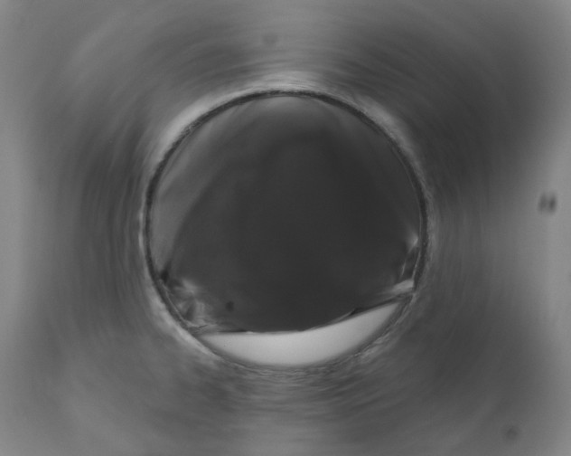 X0000110701334200907101211