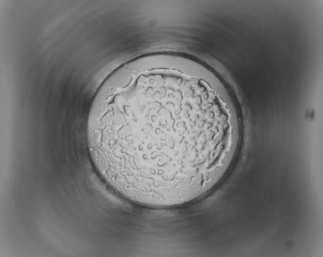 X0000110701337200907101212