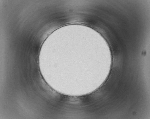 X0000110701338200907101212
