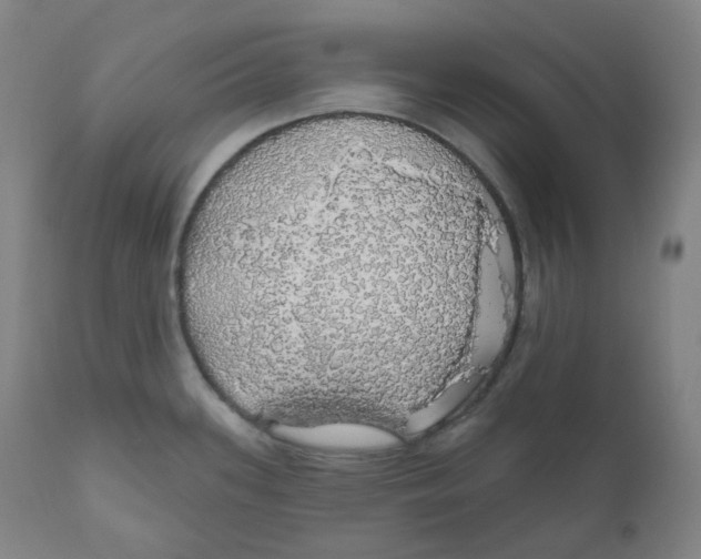 X0000110701339200907101212