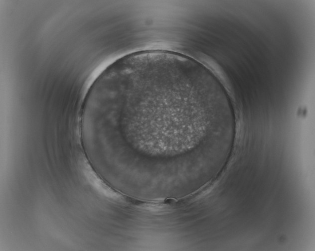 X0000110701340200907101212