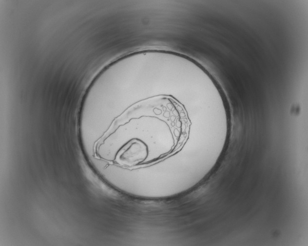 X0000110701341200907101212