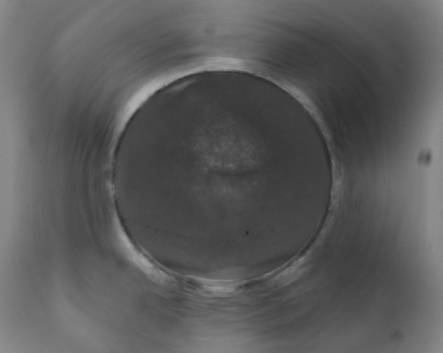 X0000110701342200907101212