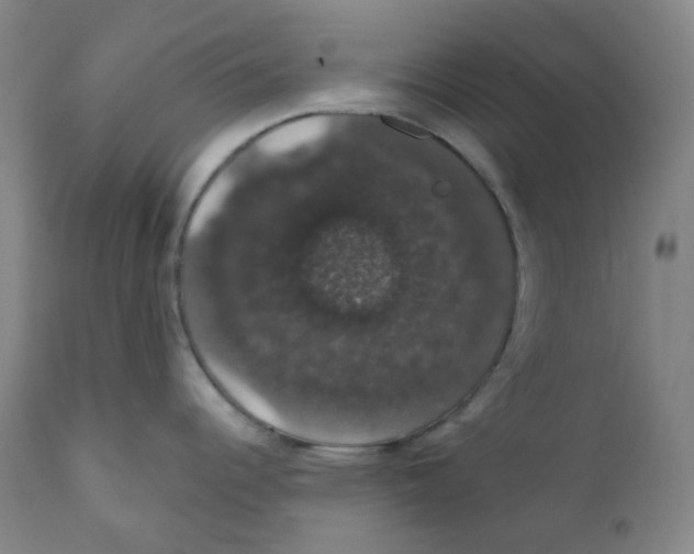 X0000110701344200907101212