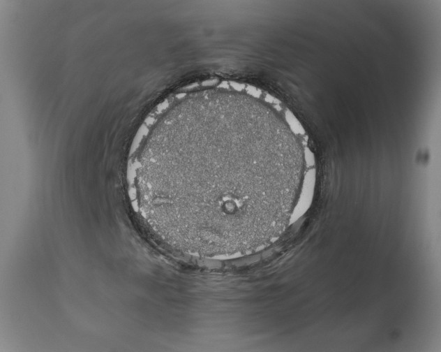 X0000110701345200907101211