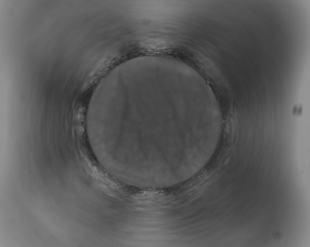 X0000110701346200907101211