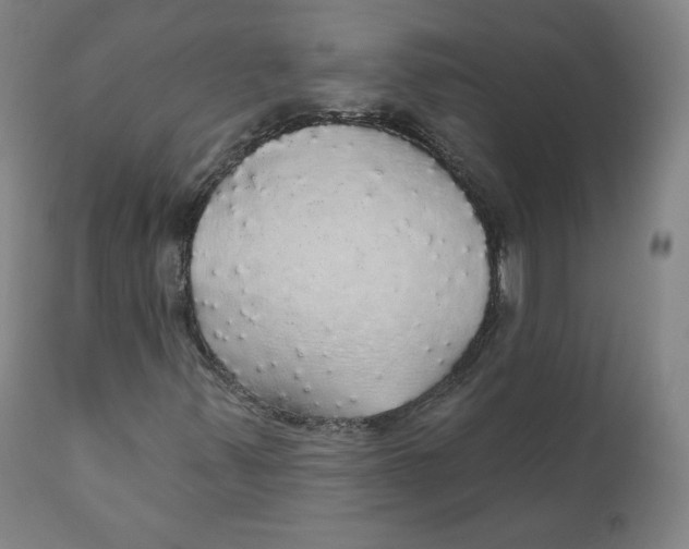 X0000110701347200907101211