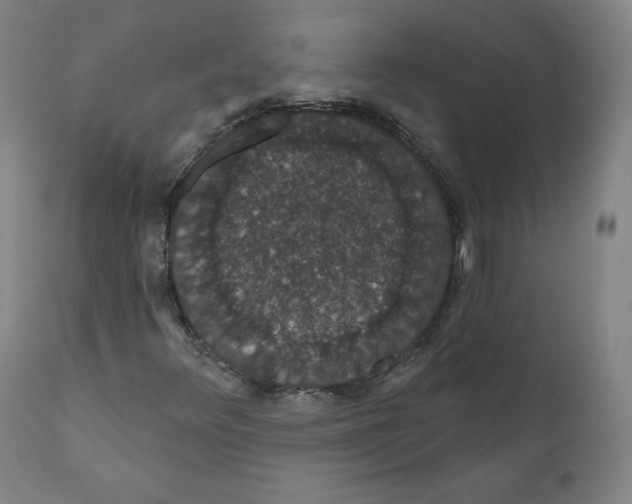 X0000110701348200907101211