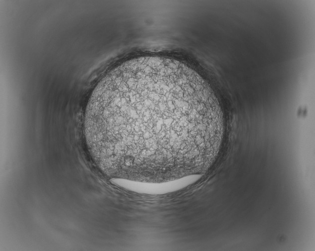 X0000110701349200907101211