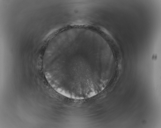 X0000110701350200907101211