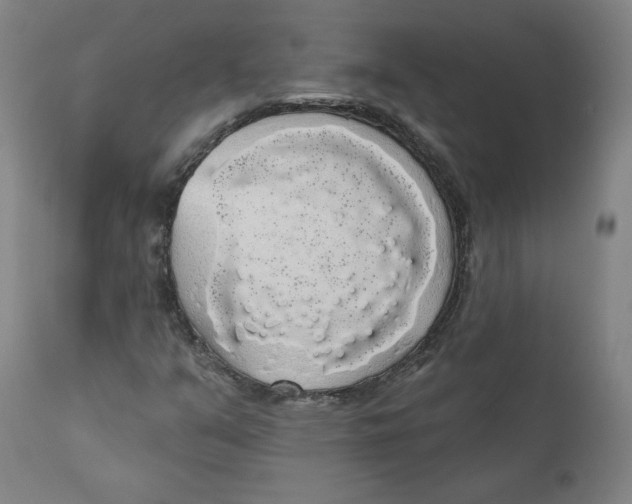 X0000110701351200907101211