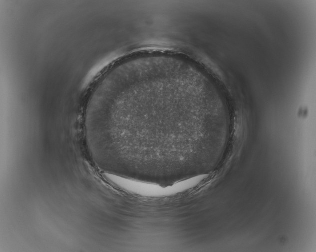 X0000110701352200907101211
