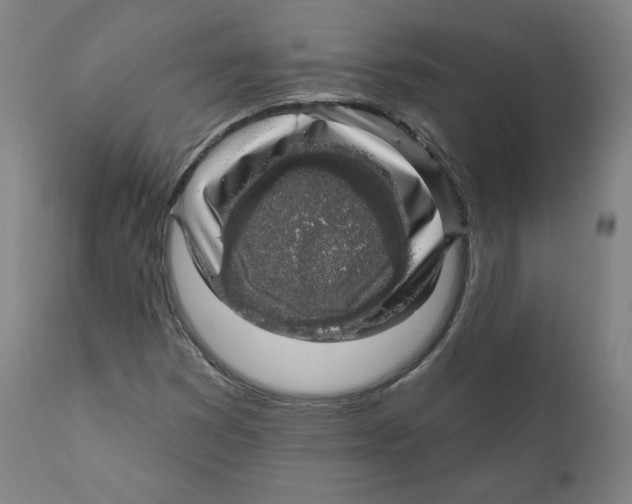 X0000110701353200907101211