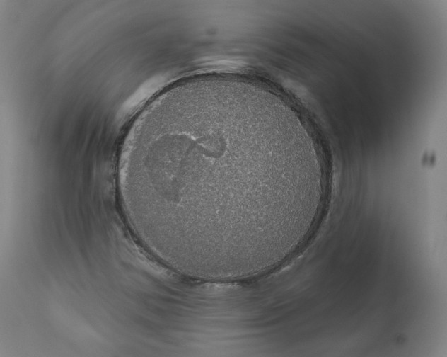 X0000110701354200907101211