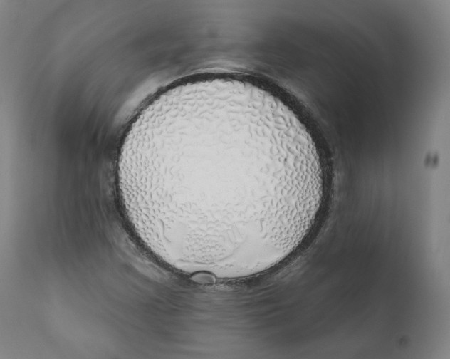 X0000110701355200907101211