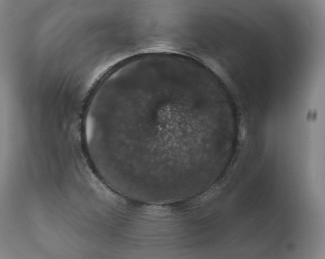 X0000110701356200907101211