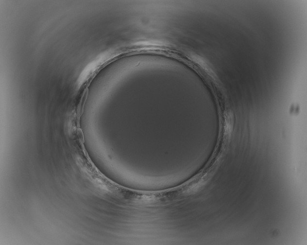 X0000110701357200907101211