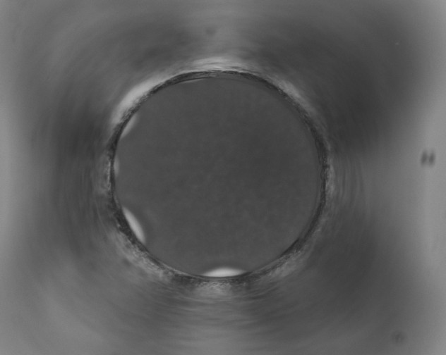 X0000110701358200907101211