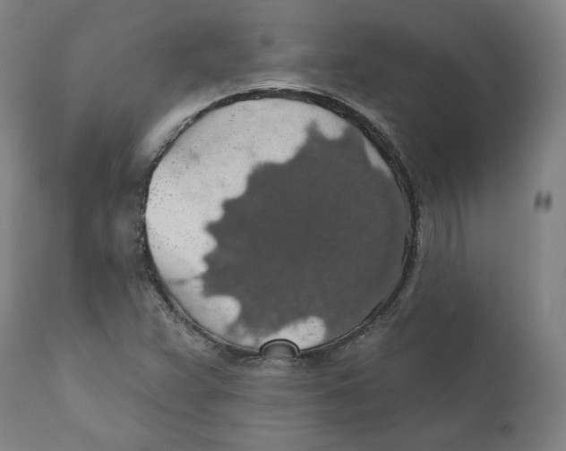 X0000110701359200907101211
