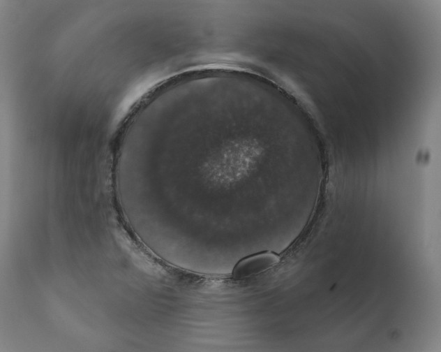 X0000110701360200907101211