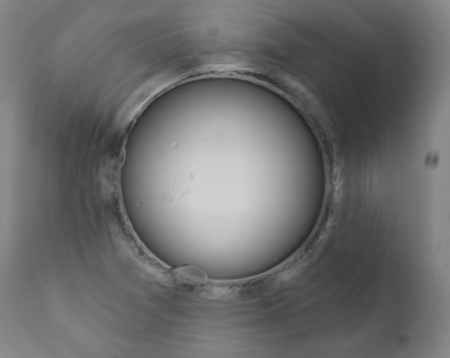 X0000110701361200907101211