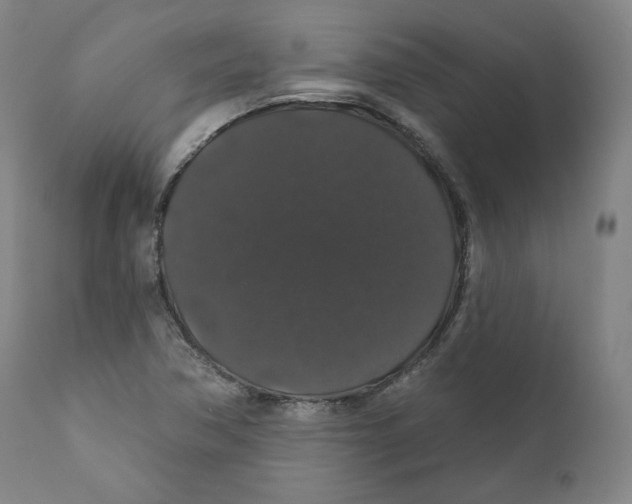 X0000110701362200907101211