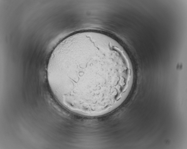 X0000110701363200907101211