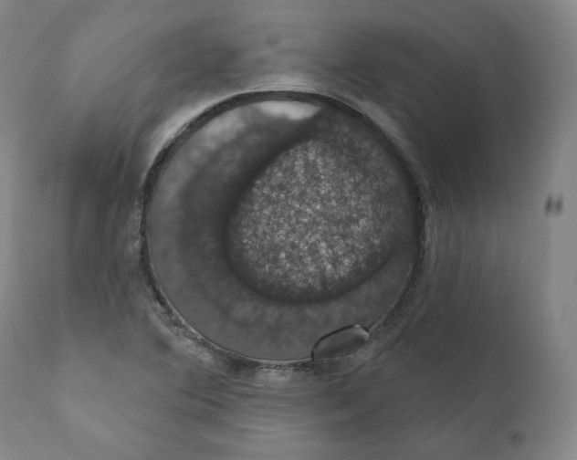 X0000110701364200907101211