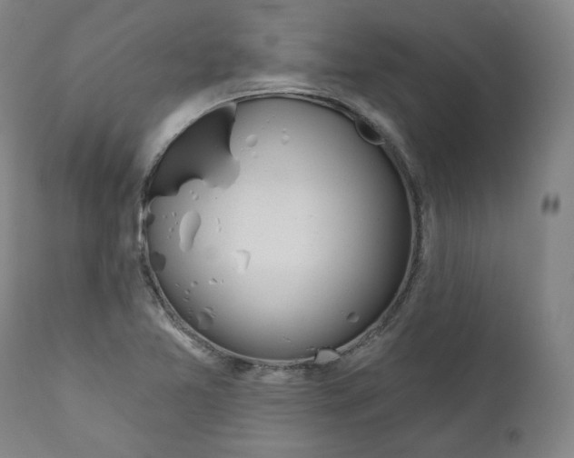 X0000110701365200907101211