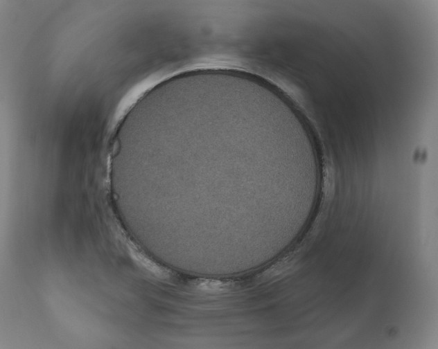 X0000110701366200907101211