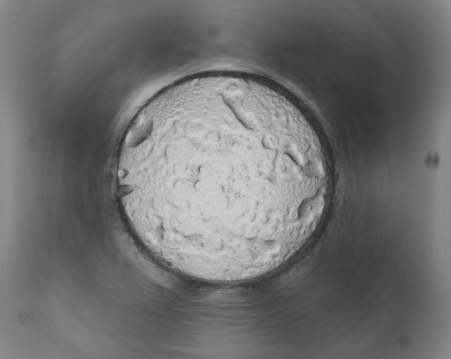 X0000110701367200907101211