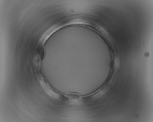 X0000110701369200907101211