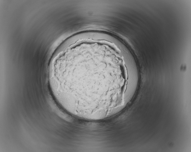 X0000110701371200907101211