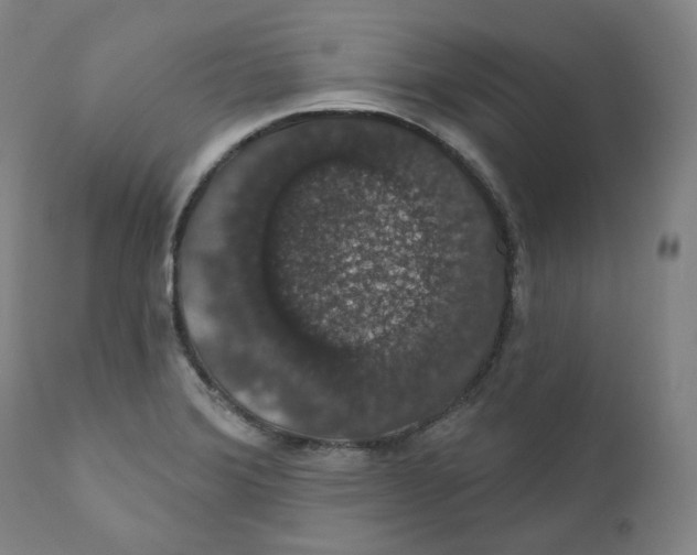 X0000110701372200907101211